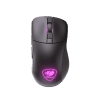 Cougar Mouse Surpassion RX (Pink)